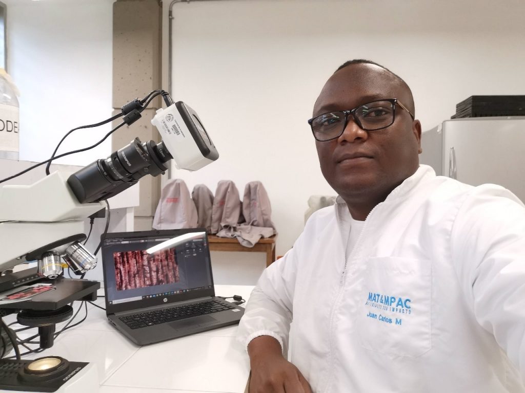 Investigación usos de la madera